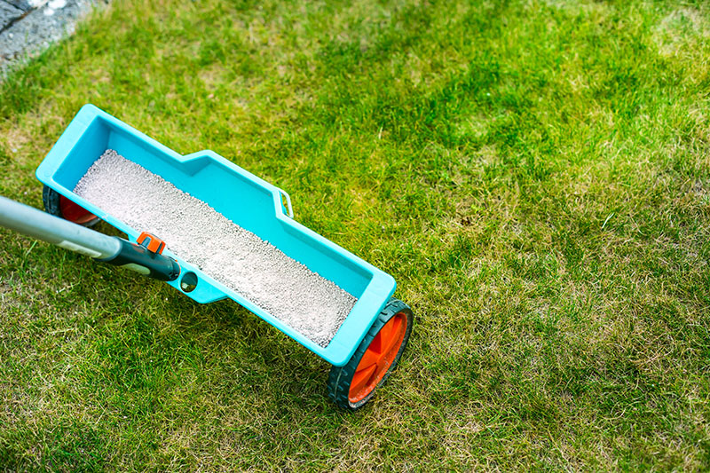 Premium Longview lawn fertilizer in TX near 75601