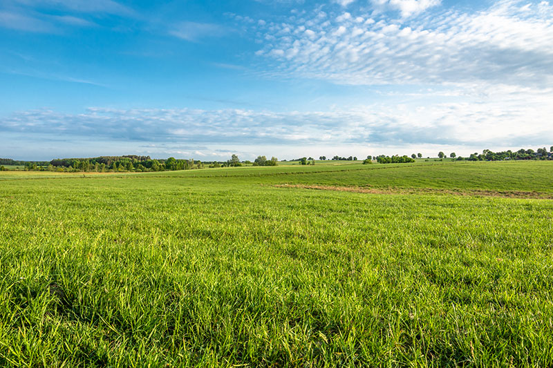 Superior Marshall pasture fertilizer in TX near 75670