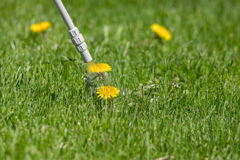 Weed-Killer-Spray-Marshall-WA