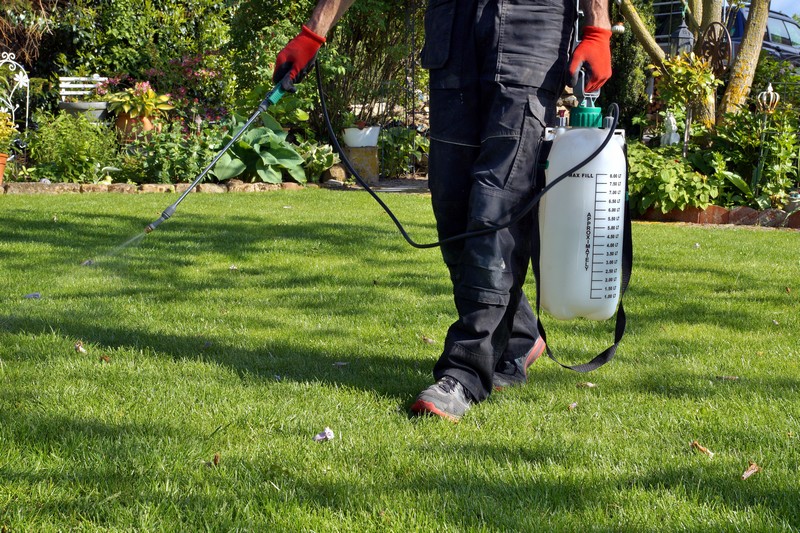 Weed-Killer-Spray-Shreveport-WA